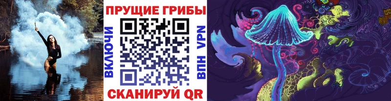 Галлюциногенные грибы Cubensis  Купить закладки  Покров 